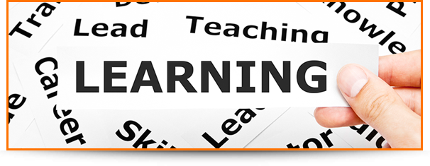 Lead Teaching Learning